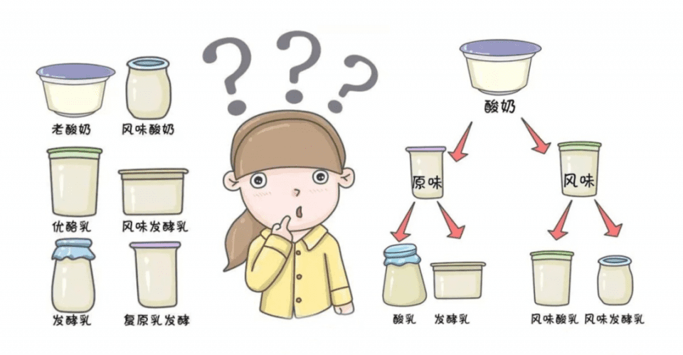 纯牛奶好还是酸奶好?(喝鲜奶好还是喝酸奶好)