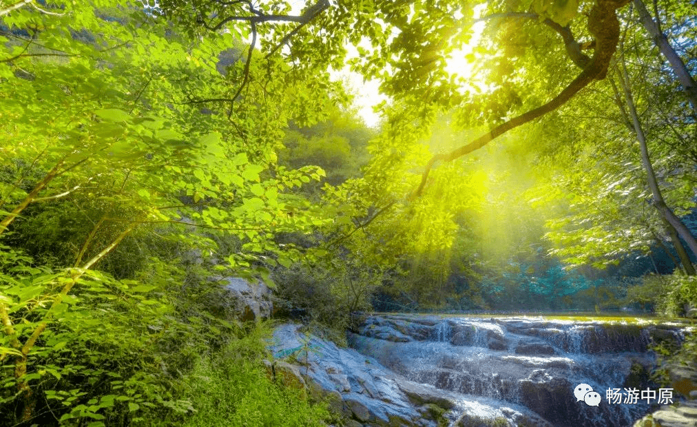 夏季旅游推荐(夏季旅游城市推荐)