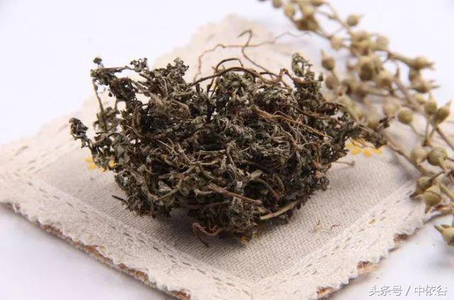 鼻子不通气怎么办?(有一只鼻子不通气怎么办)