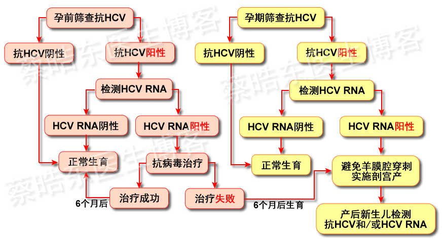 得了丙肝能生孩子吗(女性有丙肝能生孩子吗)
