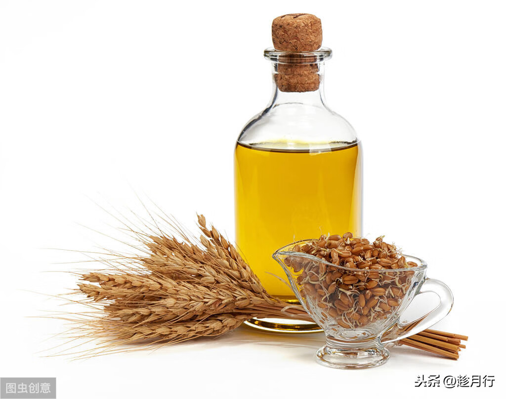 小麥胚芽油的作用是什么(吃小麥胚芽油有什么好處)