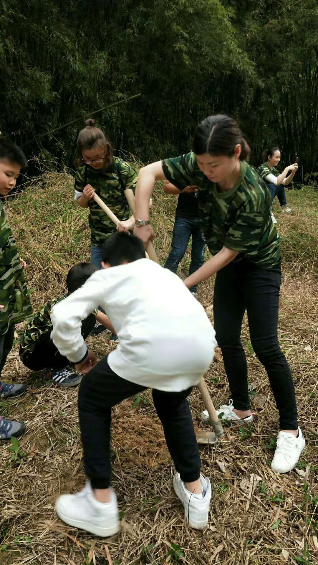 青少年培训学校(青少年教育)