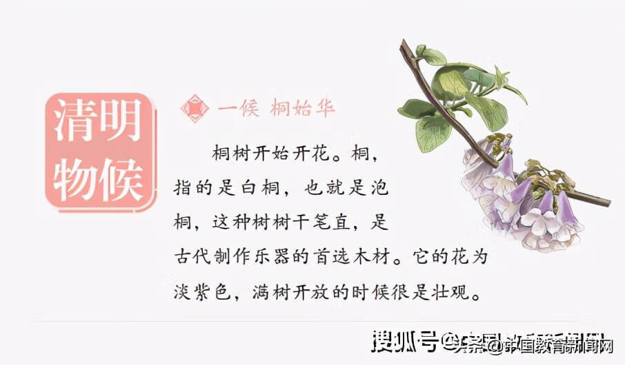 藏在清明里的知识点，看这一篇就够了！讲给孩子听