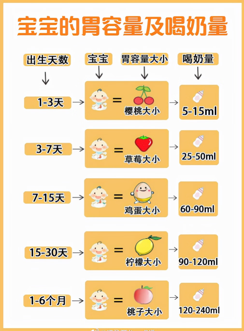 婴儿喂养(新生儿养育)