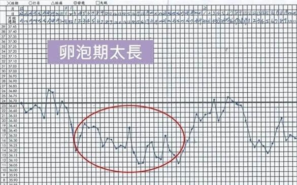 排卵期的体温表(女性排卵期体温表)