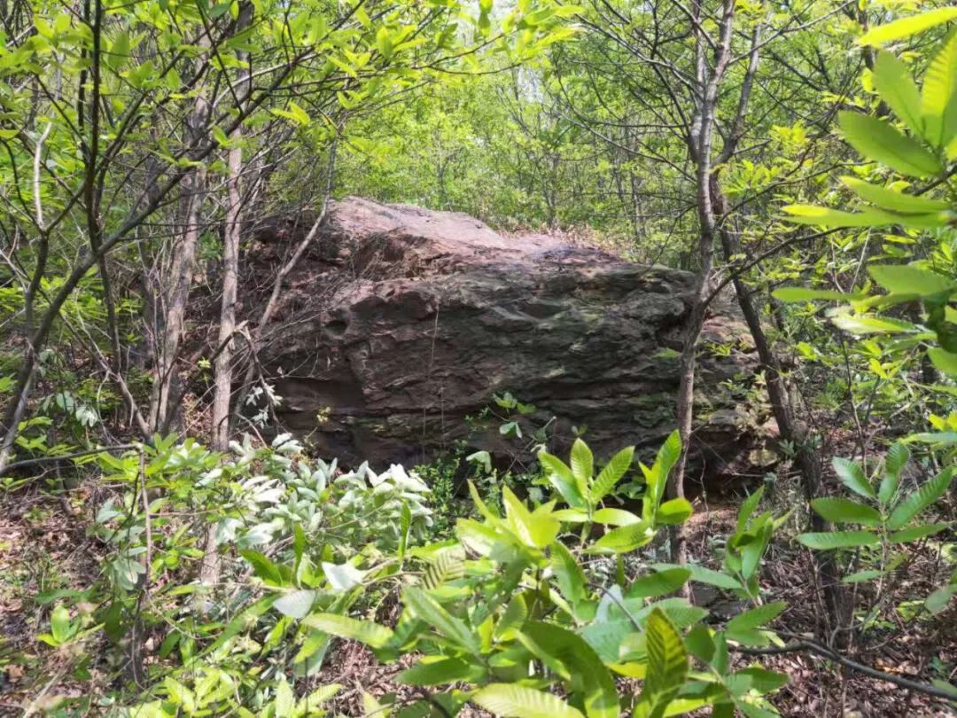 上山龙风水宝地(九龙缠顶风水宝地)