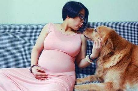 妊娠合并急性胆囊炎概述(妊娠合并胆囊炎诊断)