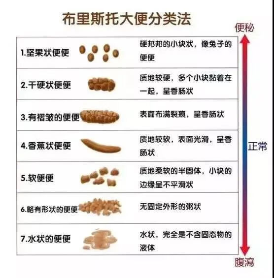 大便(大便没血但擦纸上有血)