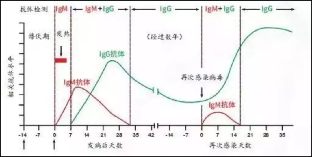 核酸测试纸准吗(试纸什么时候用最准确)
