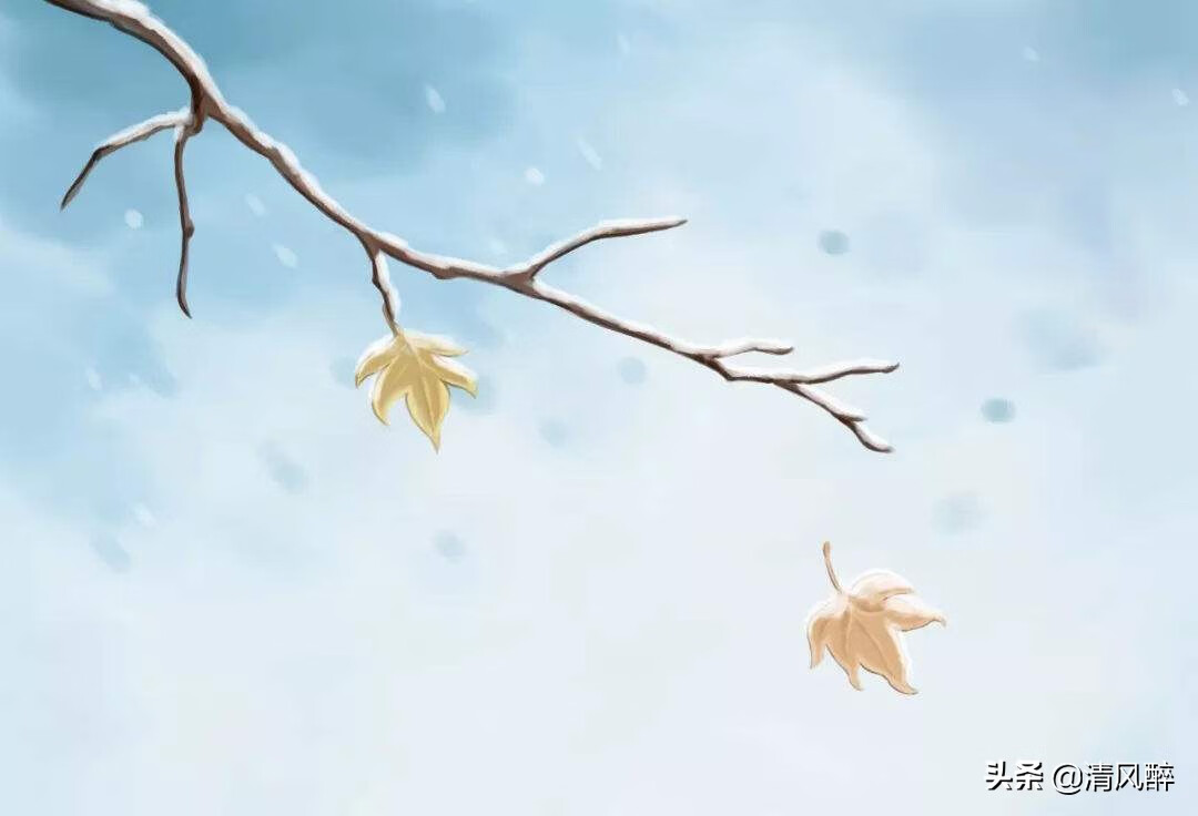 结婚周年纪念日朋友圈(结婚周年纪念日句子)