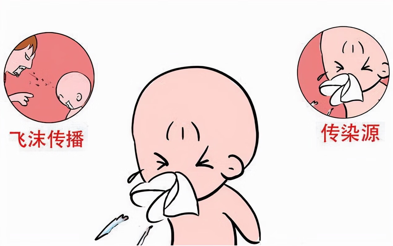 百日咳杆菌是细菌还是病毒(百日咳是由细菌引起的吗)