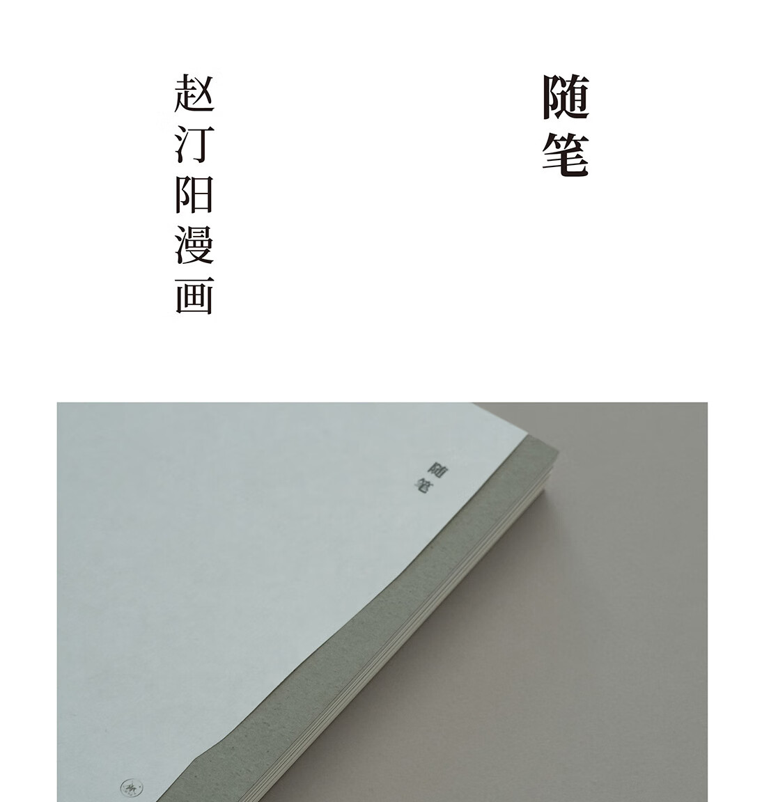 随笔:赵汀阳漫画
