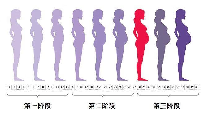 孕晚期是几周到几周(孕晚期容易出现的问题)