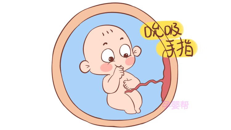 孕妇睡眠不好咋办(孕妇为什么睡眠不好)