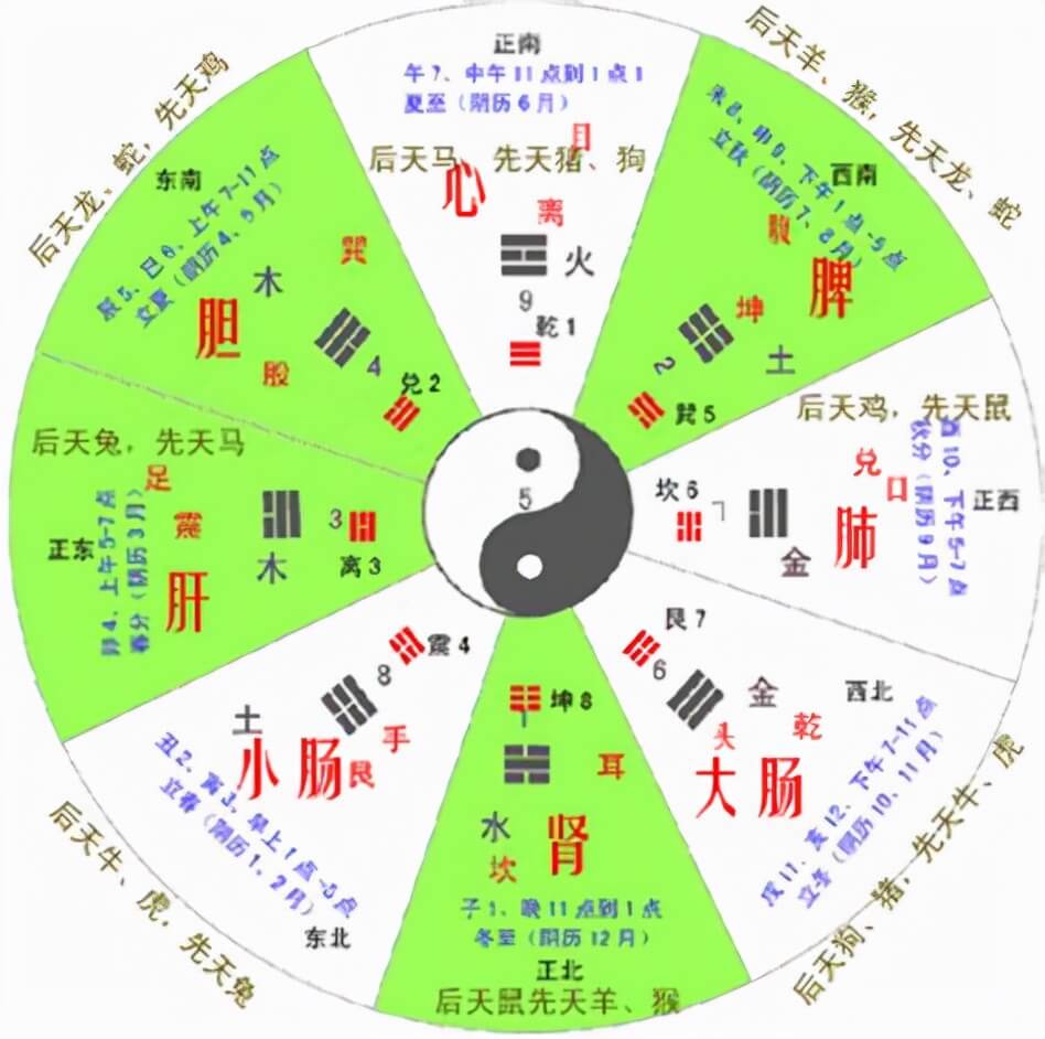 中国传统文化有哪些方面(传统文化有哪些内容)