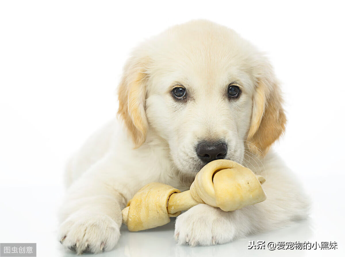 动物佝偻病图片(佝偻病长大后图片)