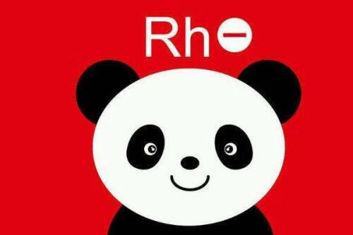 rh血型阳性是什么意思正常吗(rh血型阳性代表什么)
