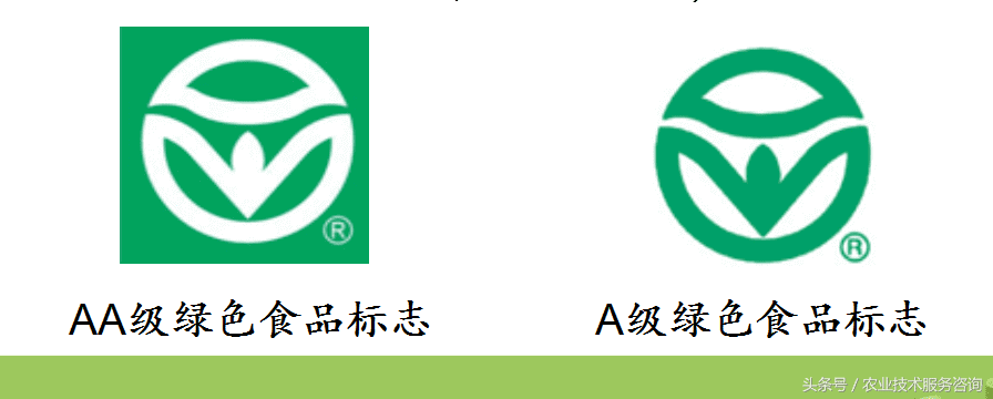 绿色食品指什么是(绿色食品代表什么意思)