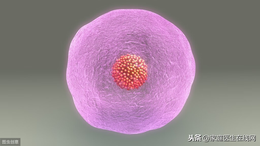 怎么能知道排不排卵(如何知道排没排卵)
