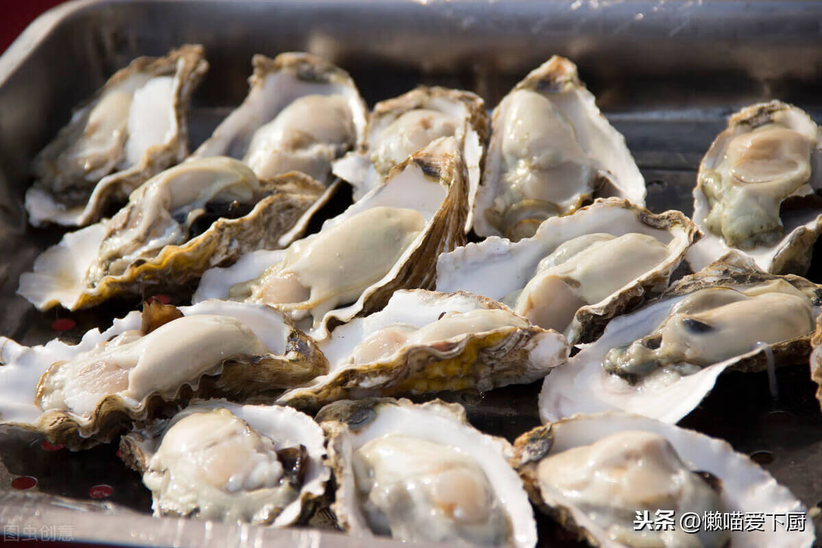 生蠔怎麼吃東西(生蠔的食用方法)