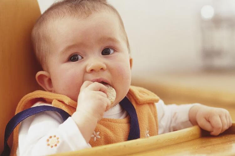 宝宝营养不良怎么补(婴幼儿营养不良怎么办)