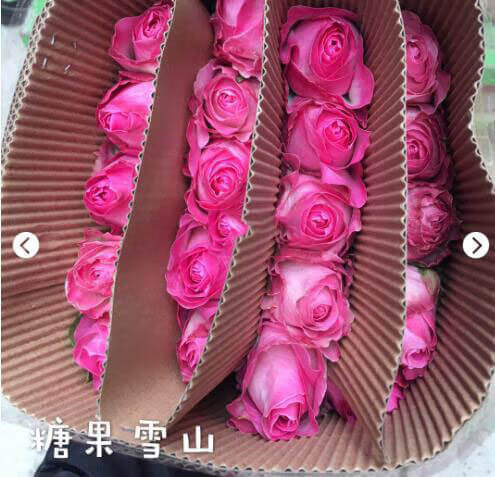 野玫瑰花粉颜色(野山花粉的功效与作用)