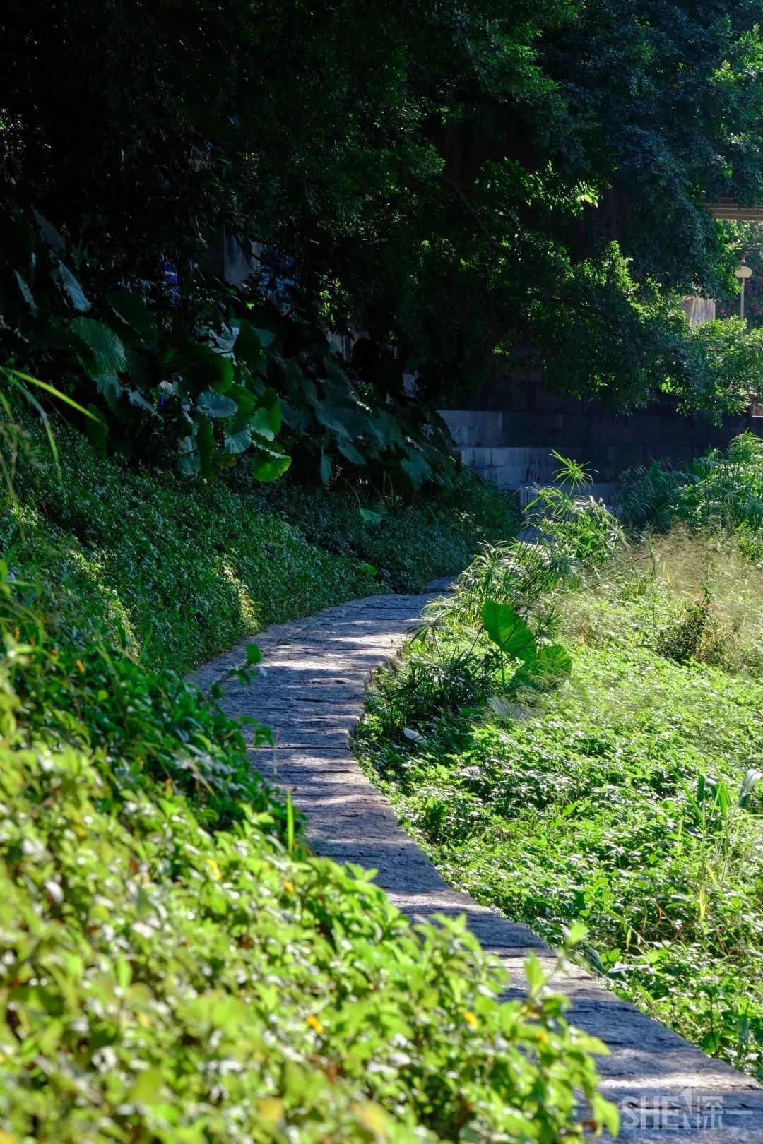 深圳地址大全详细地址(深圳有哪些地区)