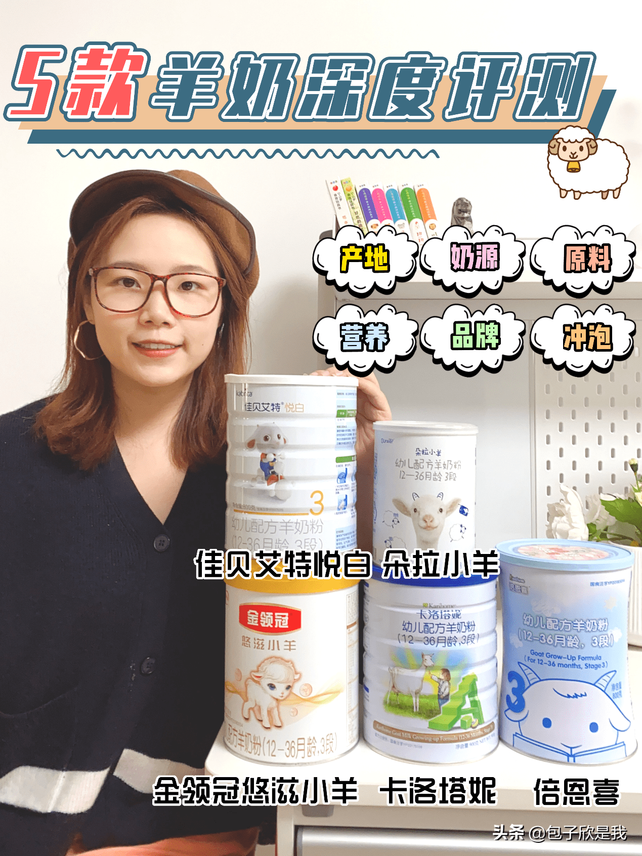 羊奶粉那种牌子最好(羊奶粉哪个品牌比较好)