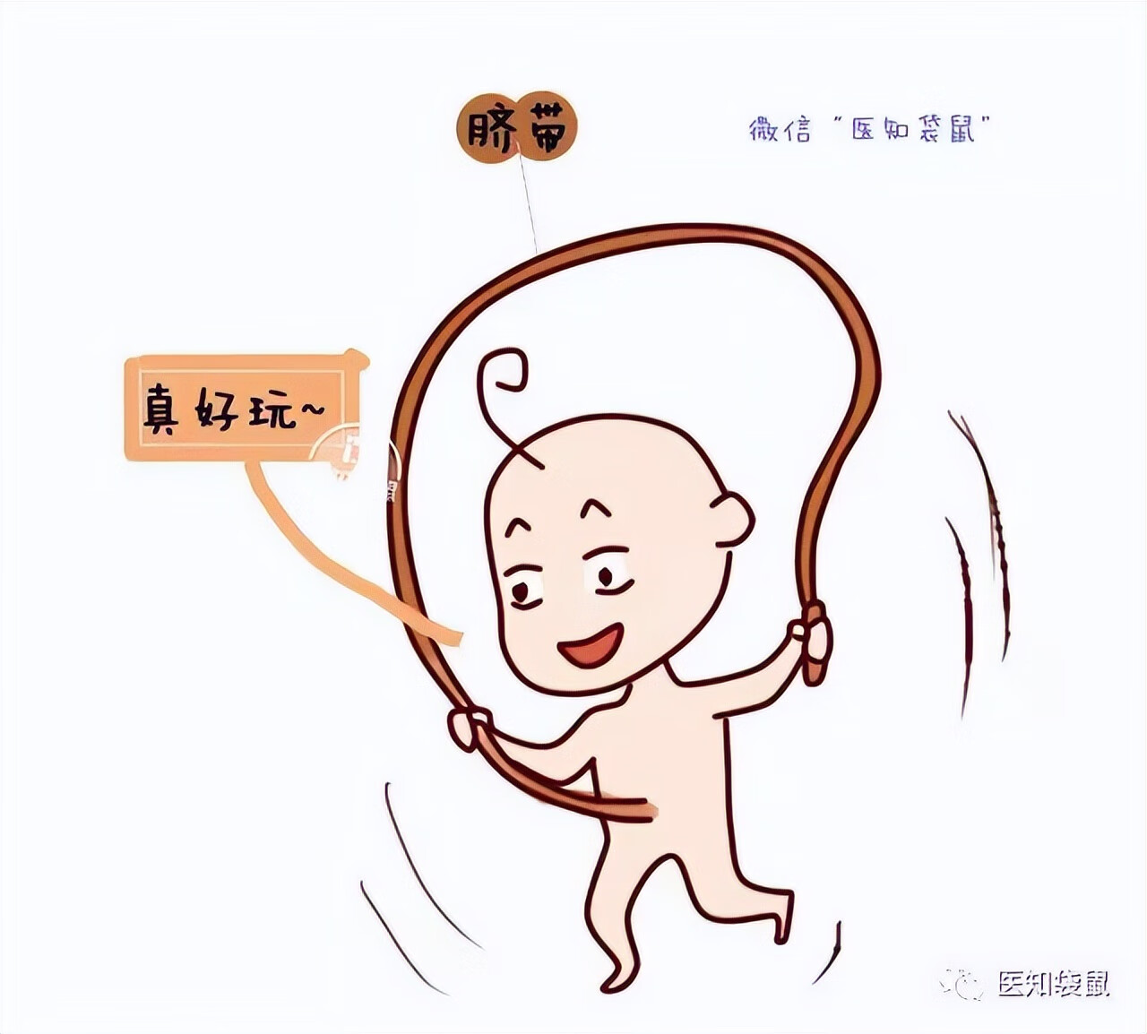 怀孕5个月胎儿图片(五个月胎儿图片 有多大)
