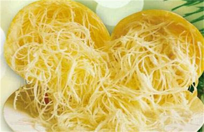 金丝瓜是什么瓜(黄金丝瓜)