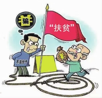 牦牛奶粉价钱(奶粉价格行情)