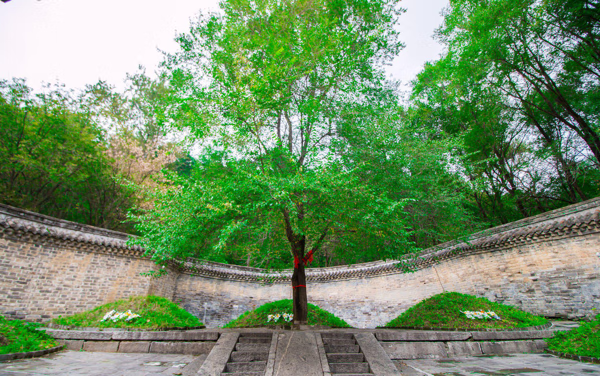 启运山十二个山头图片