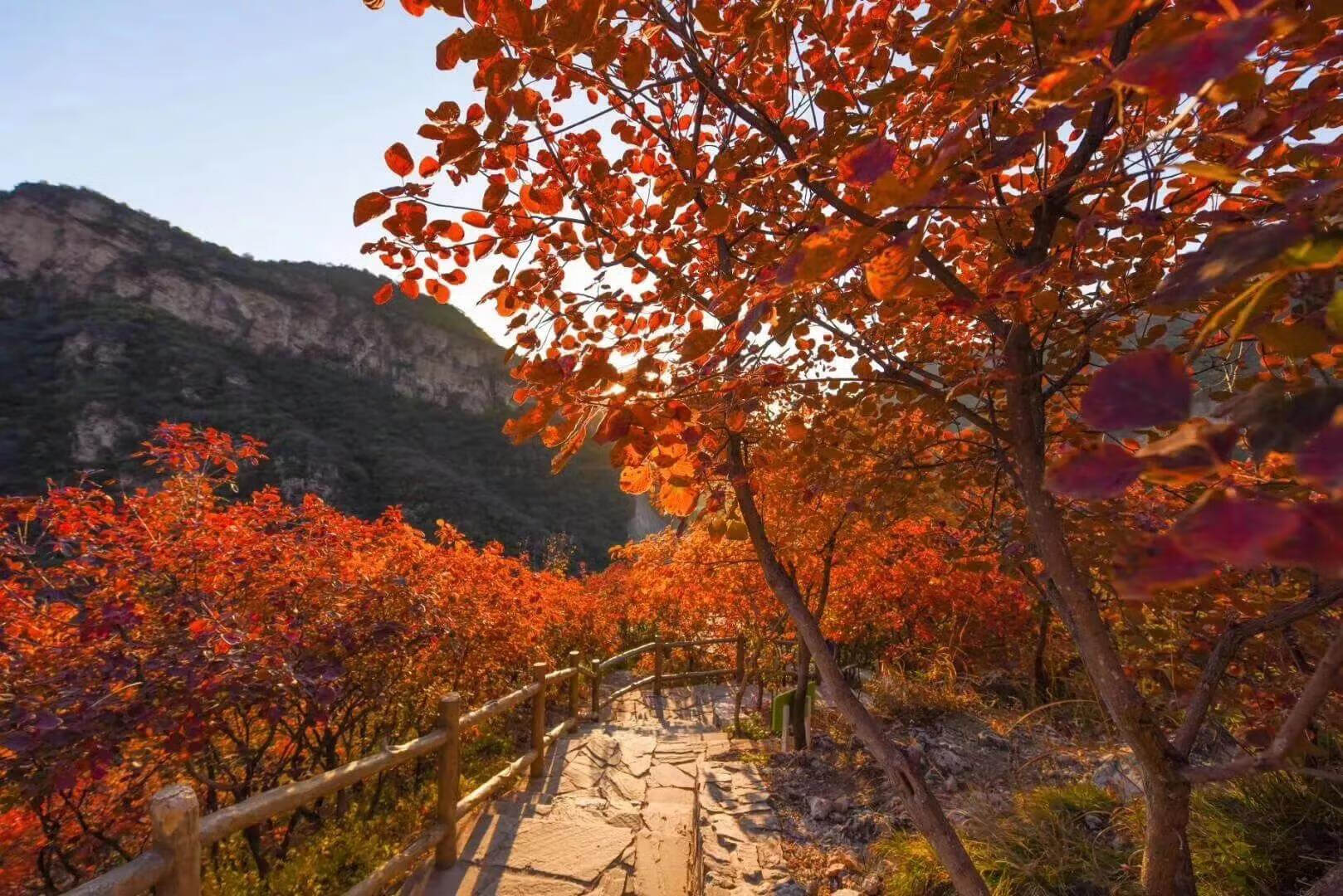 人只要心存善良哪里都是风水宝地(怎样找风水宝地)