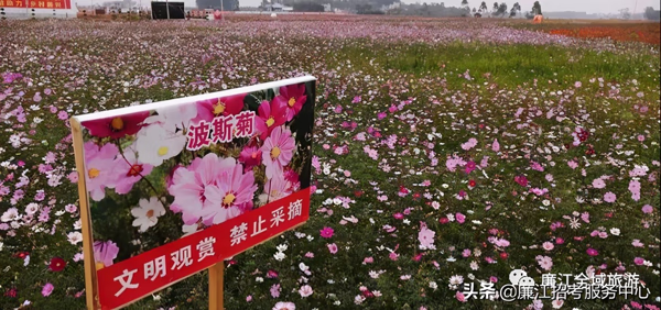 廉江市风水宝地(廉江附近的风水宝地)