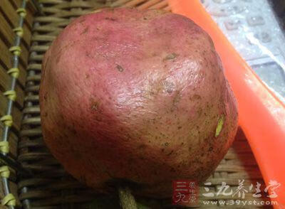 怀孕可以吃石榴么(孕中期可以吃石榴吗)