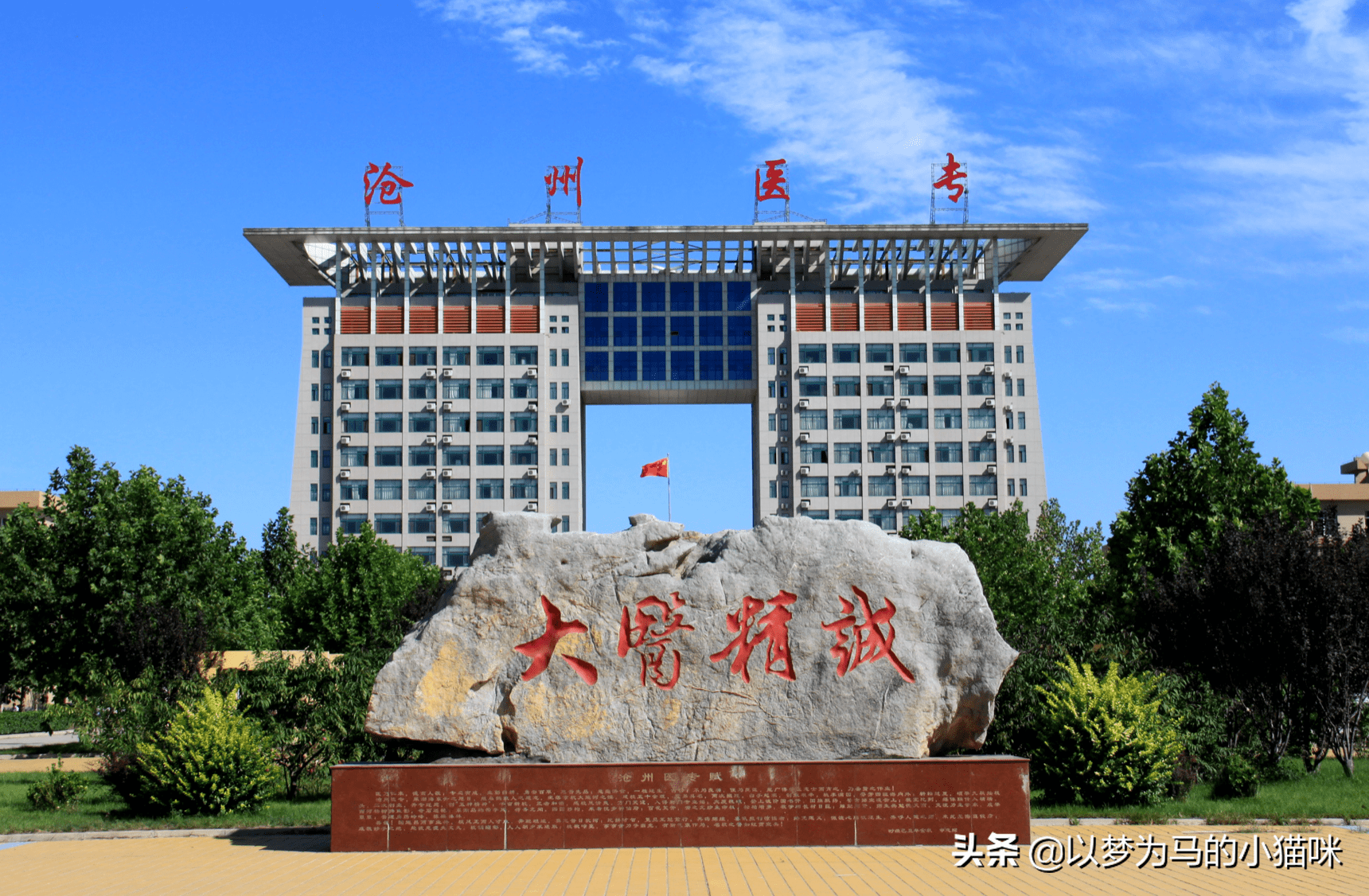 专科医学院校有哪些(专科医学院哪里比较好)