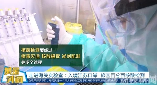 实验室核酸检测流程(核酸检测流程步骤图)