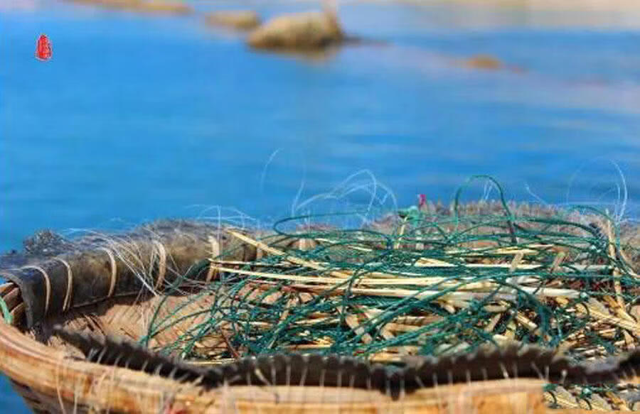 马步鱼是什么鱼(马步鱼又叫什么鱼)