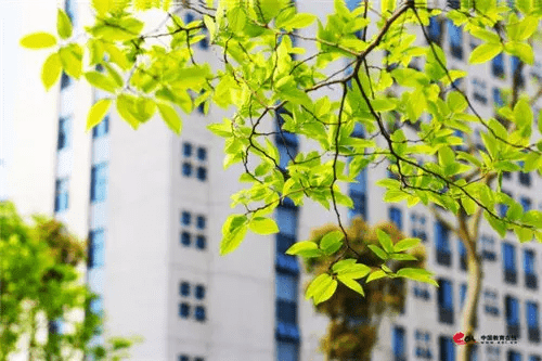 安徽中医药大学研究生院(浙江中医药第四临床医学院)