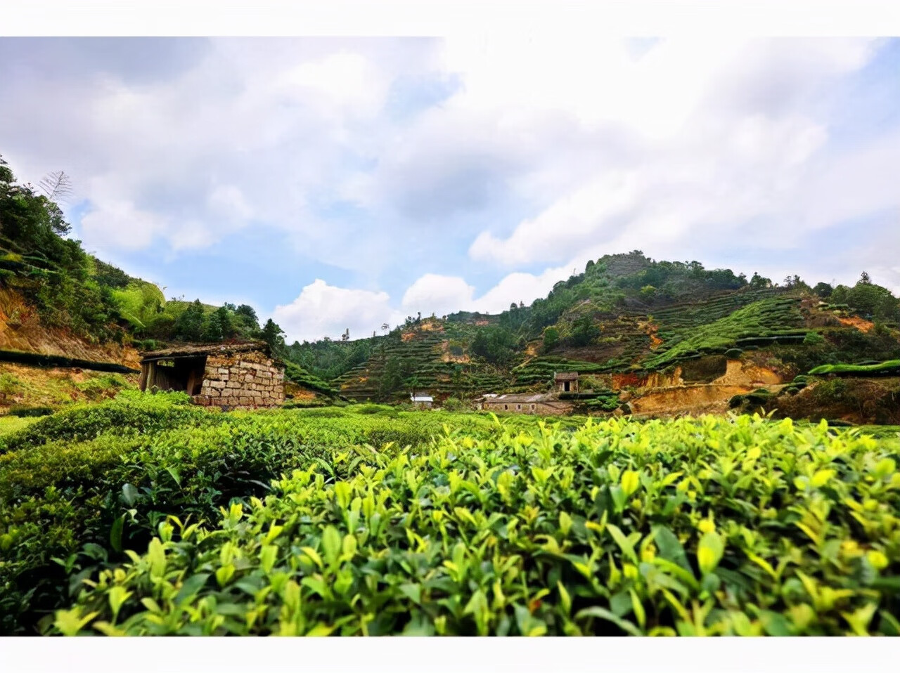 广东江门玉湖风水(江门市玉湖御景酒店)