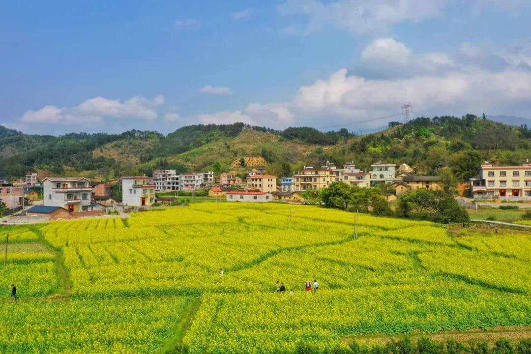 石塘鎮沙江屯楊村獨螺嶺風水寶地仁化縣石塘鎮