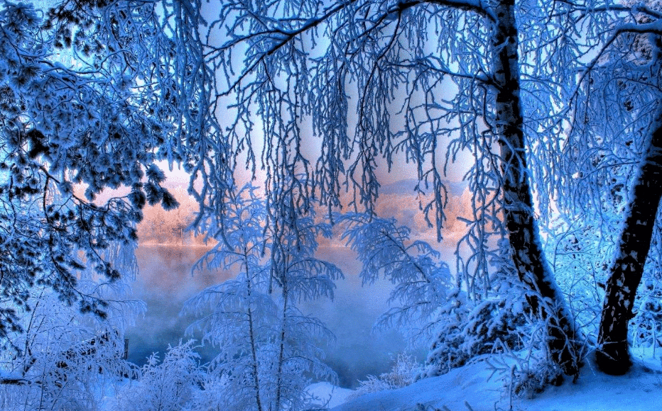 写写雪的古诗(写雪的古诗名句)