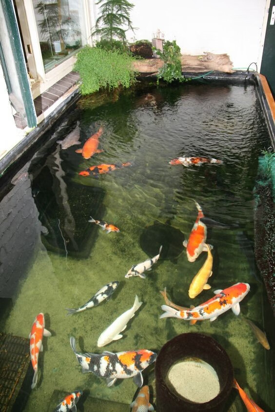 没有院子那就在阳台上挖鱼池,做好双重防水,造景瀑布好惬意享受