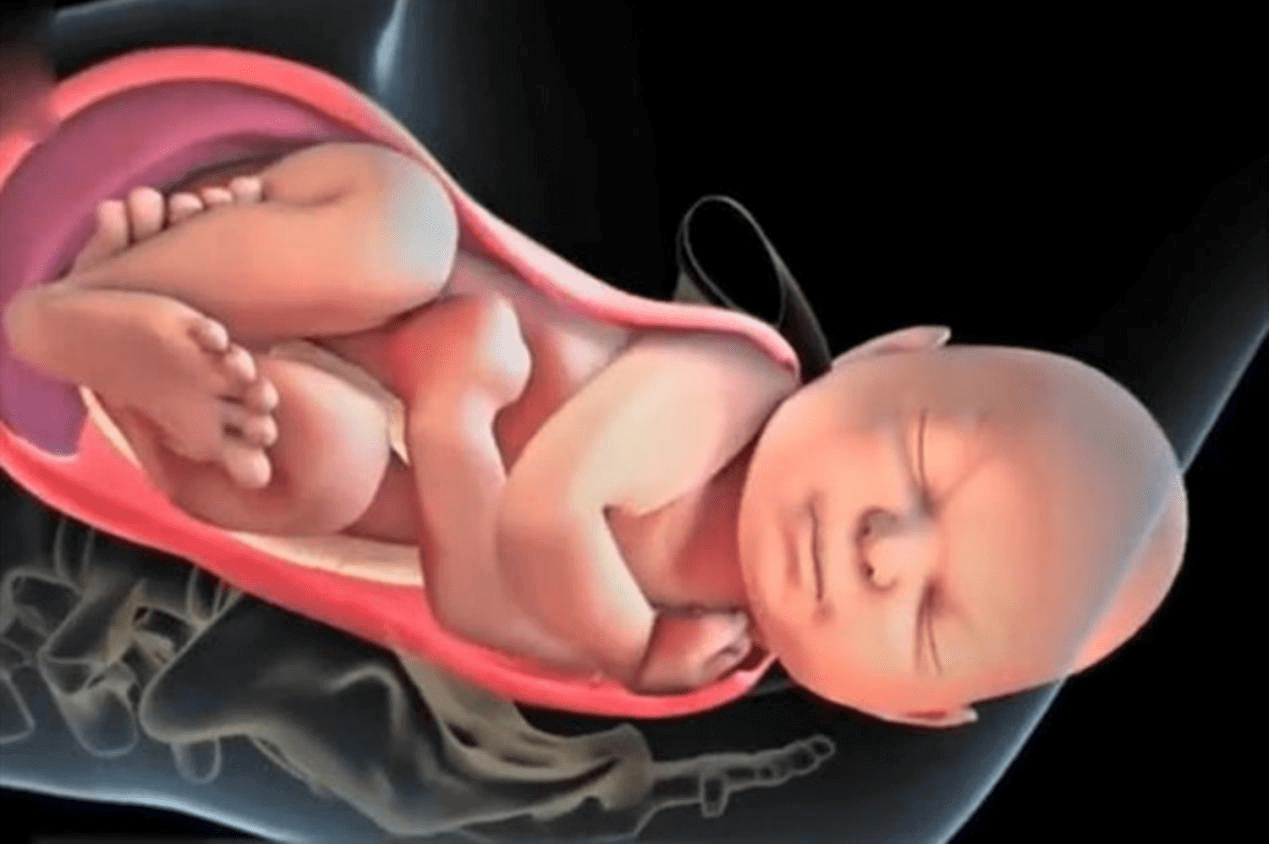 自然分娩的全过程(产妇顺产分娩全过程)