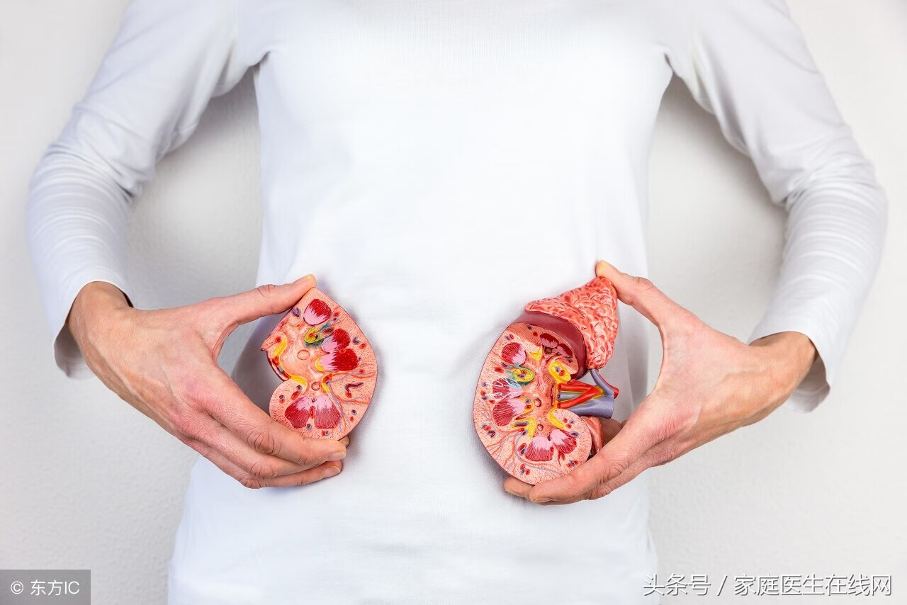 肾结石不能吃什么食物有哪些(肾结石不能吃的食物清单)