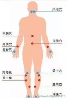 海螵蛸的副作用是什么(海螵蛸副作用都有哪些)
