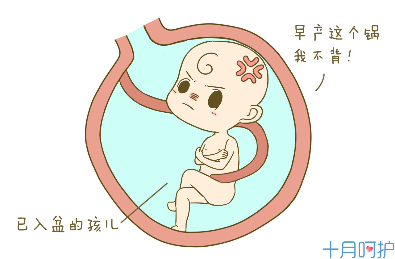 一般入盆后多久会生