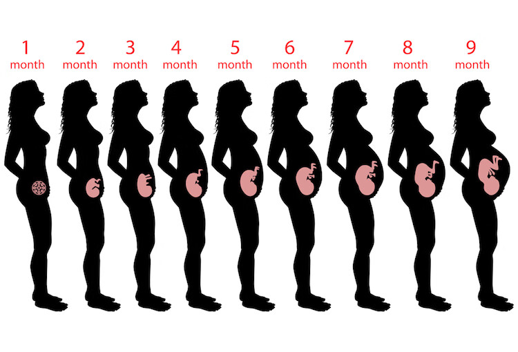 孕40周胎儿发育指标(胎儿出生各项指标)