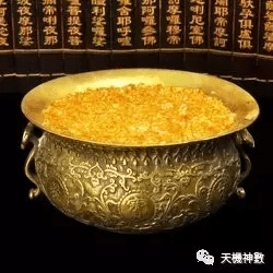 鳄鱼风水上代表什么(鳄鱼饰品风水作用)