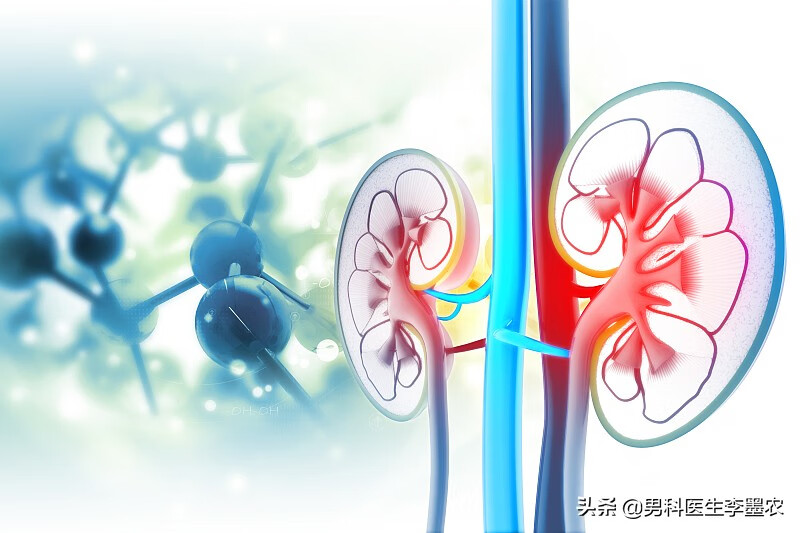 阴囊潮湿怎么回事儿(西医解释阴囊潮湿)